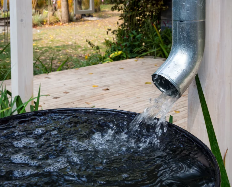 A-Beginners-Guide-To-Rainwater-Harvesting