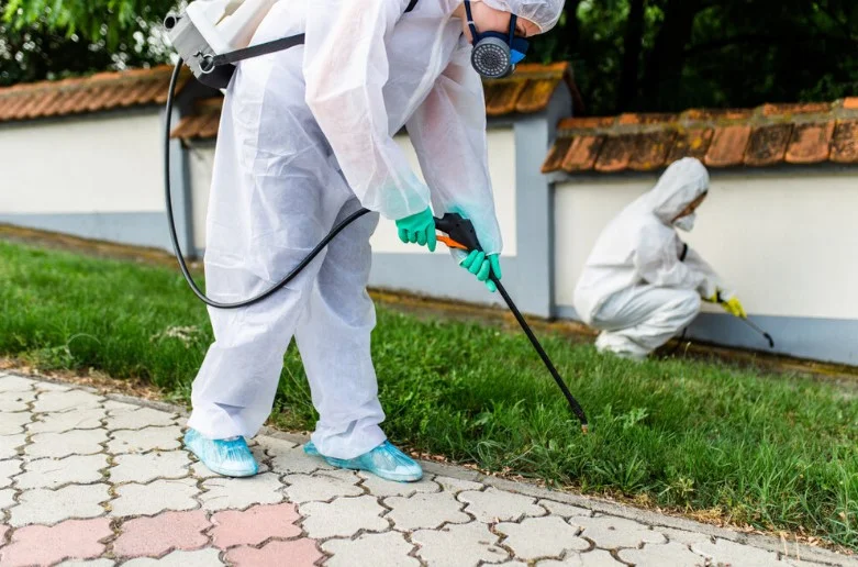 Top Five Reasons to Get Home Pest Control Services